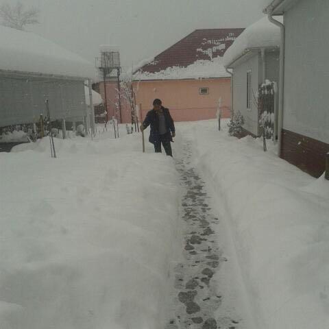 Gabala Homes Musa Eksteriør billede