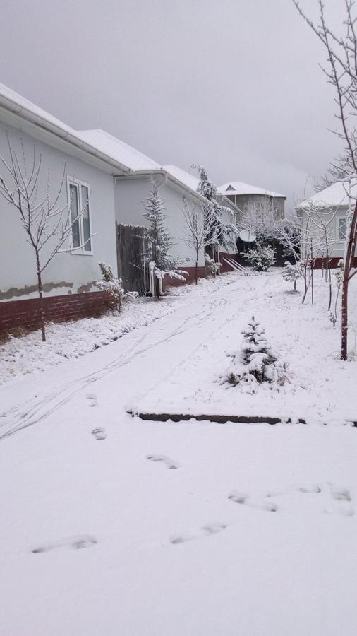 Gabala Homes Musa Eksteriør billede